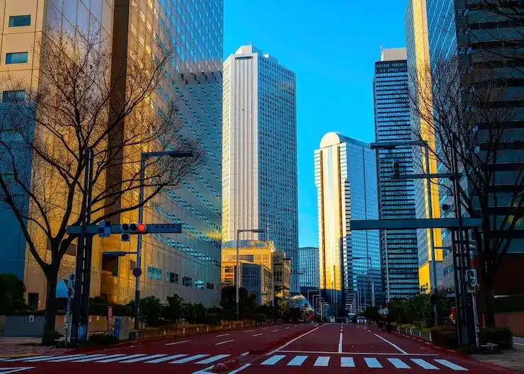 圣基茨护照的申请流程与注意事项