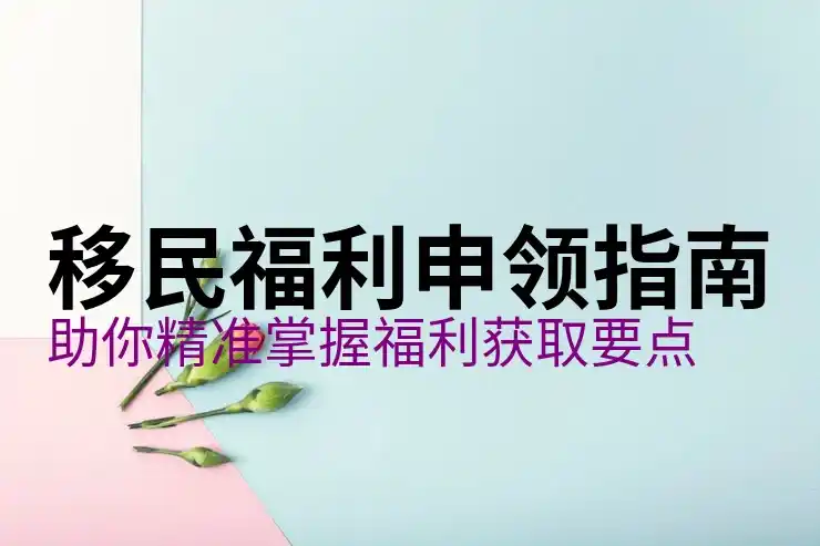 最适合移民的国家:全球移民选择指南