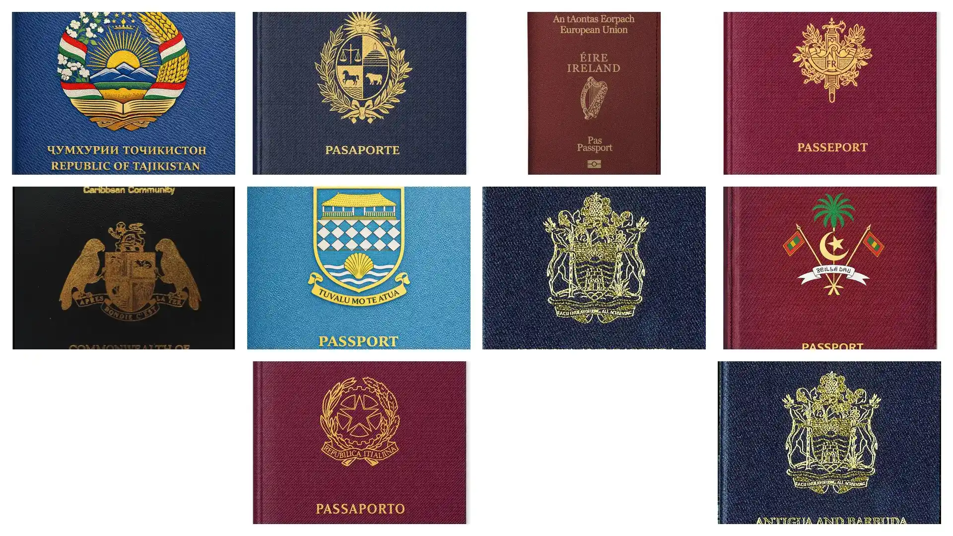 IIUSA数据解读：中国申请量已占全球50%，排期压力将至