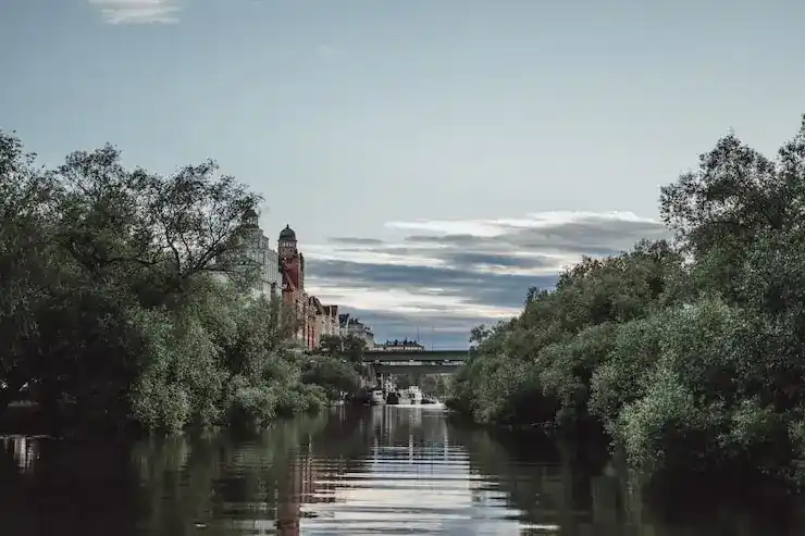 2025年日本高度人才签证的审批周期是多久？首次申请与续签周期有差异吗？