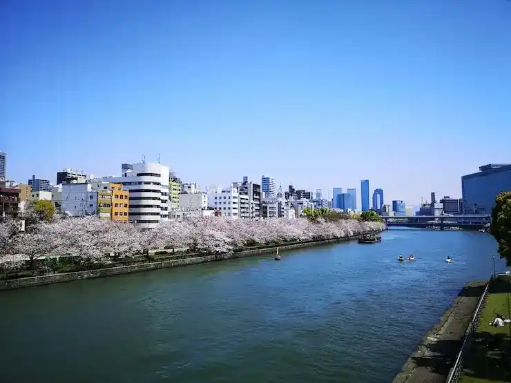 日本移民真实费用揭秘，不含办公室租金