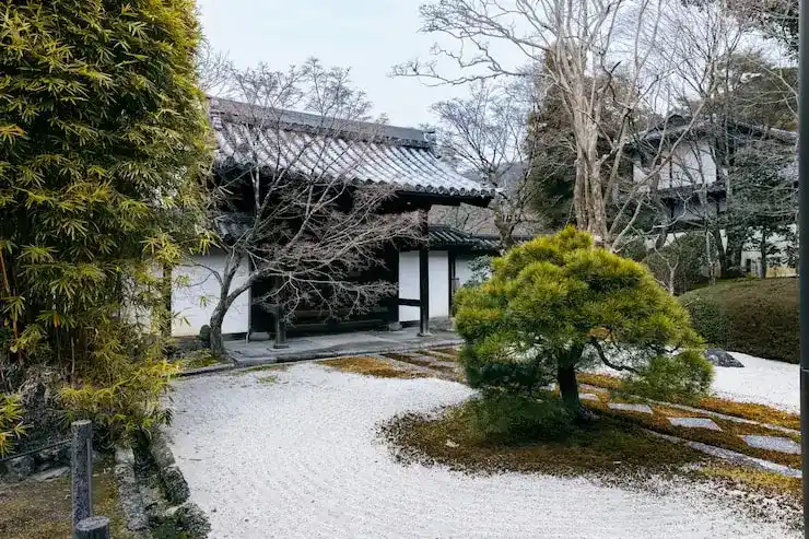 选择比利时当移民的理由与优势