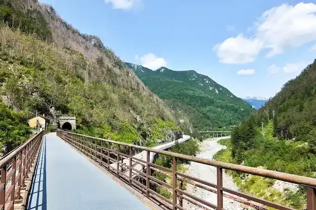 移民新
