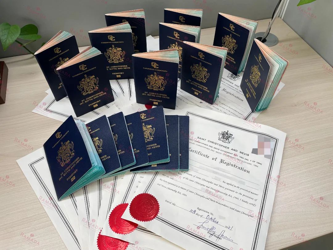 17本圣基茨护照成功获批，他们为何选择圣基茨护照？