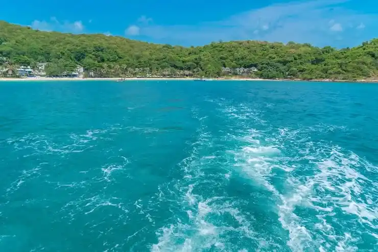 广州口碑最好的移民中介有哪些独特优势