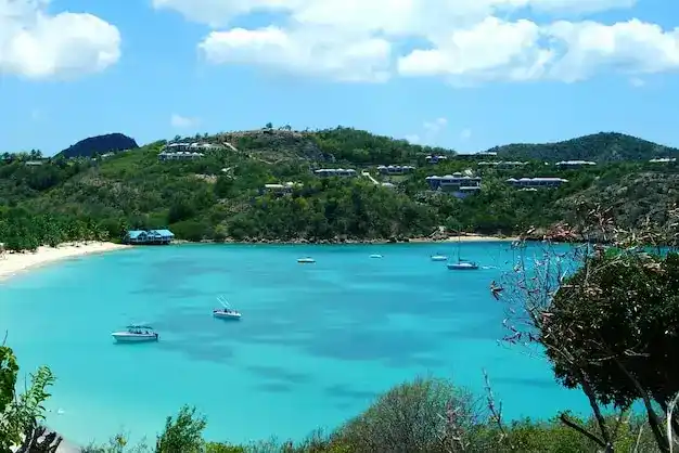 安提瓜移民背景调查流程，如何避免虚假材料带来的拒签风险？