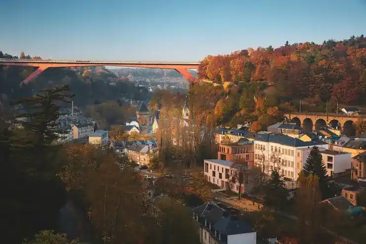 2025年德国家庭团聚移民的最低月收入要求是多少？多成员家庭如何递增标准？