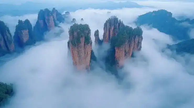 美国绿卡入籍有哪些条件？入籍步骤与要求