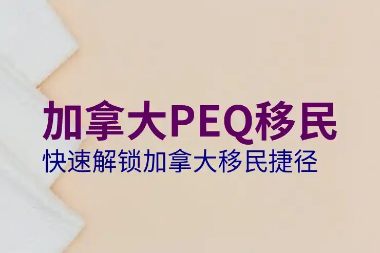 加拿大移民中介服务选项与客户体验