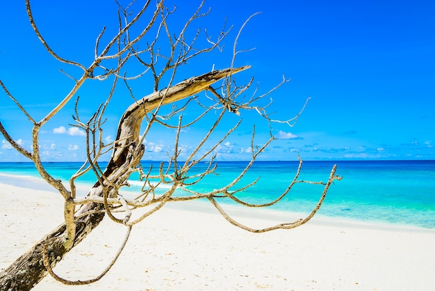 Vanuatu