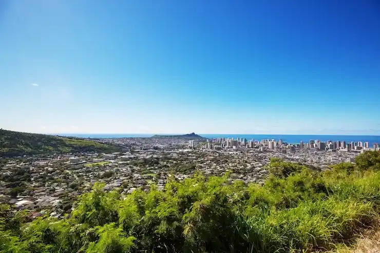 瓦努阿图永居不可带父母的背后政策原因解析