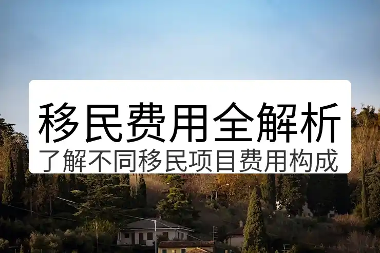 瑞士移民费用详解（2025）：单人申请vs全家申请成本对比