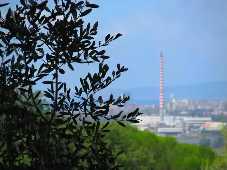 土耳其移民的医疗福利，怎么通过全民医保和私立医院获得保障？