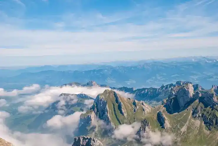 选择合适的捐款移民项目时的关键因素