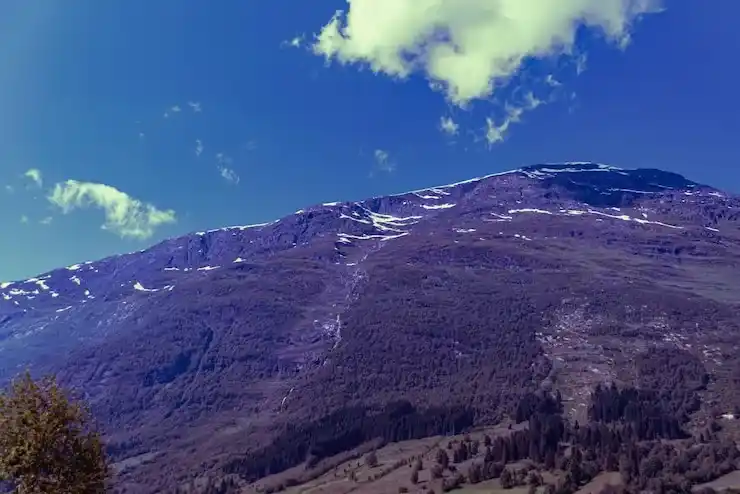 2026年亚太环球移民项目分享-马绍尔125万￥赴美跳板