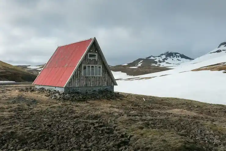 用多米尼克身份，助力孩子国际化成长
