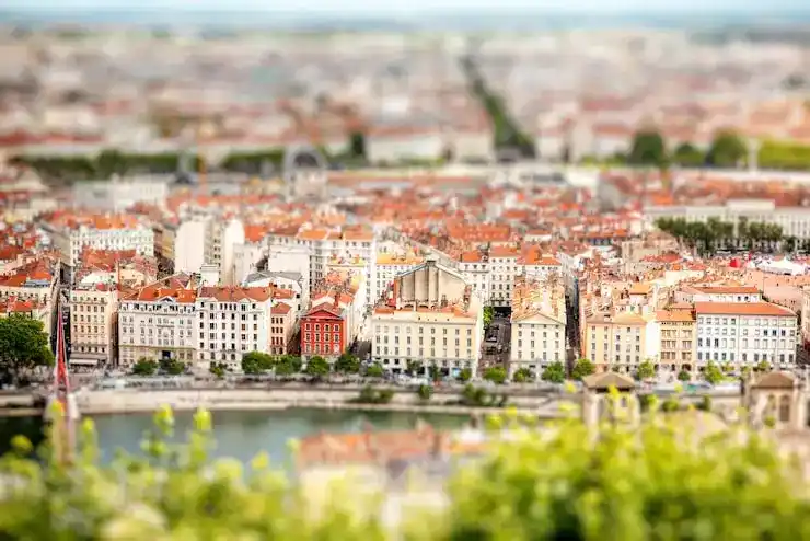 圣基茨移民创业需求离岸公司注册