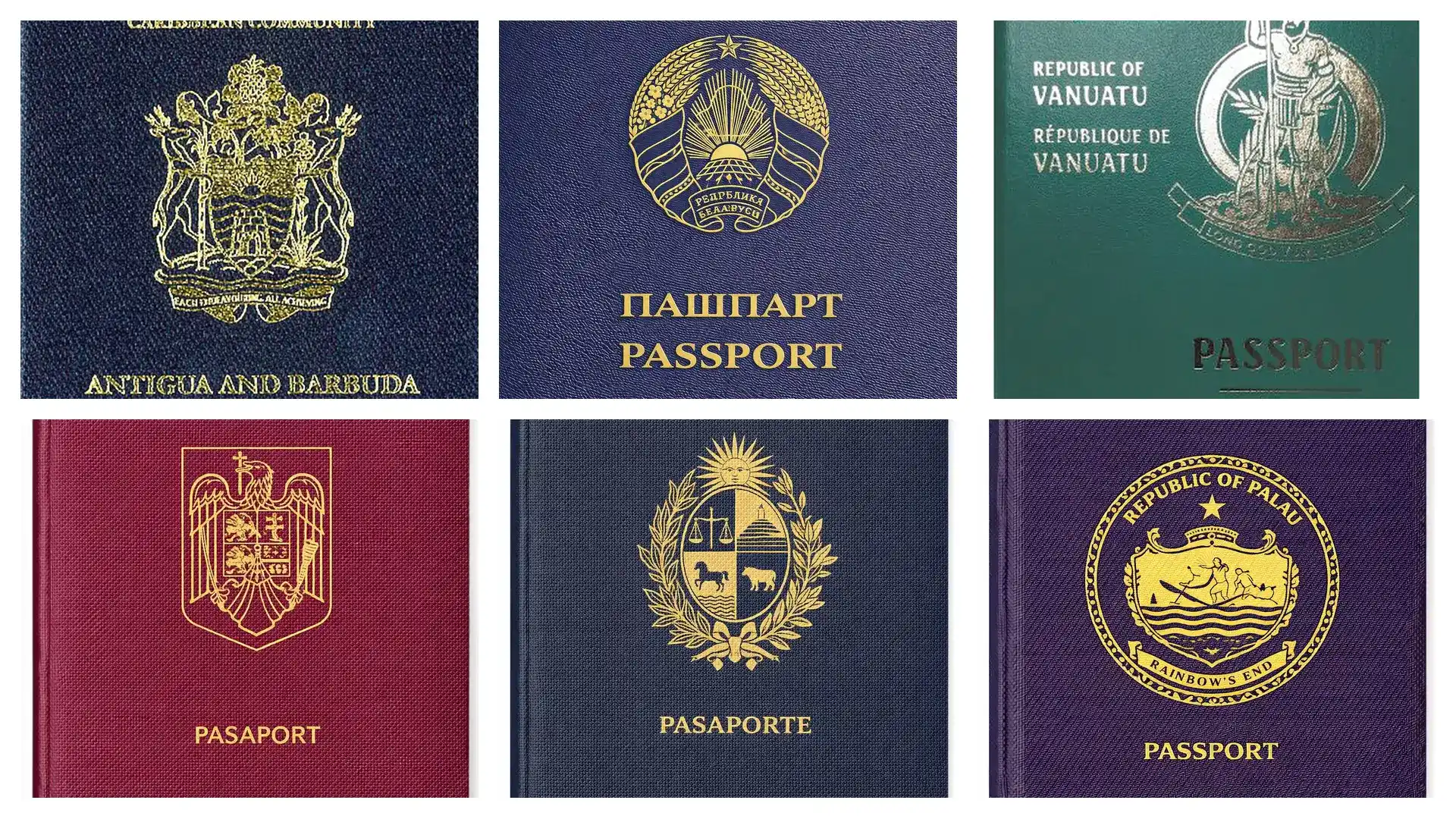 财富管理专家忠告：移民规划要趁早，政策不等人