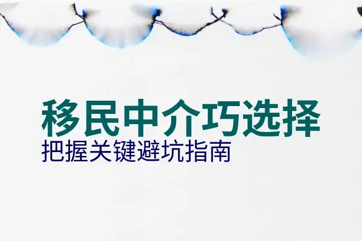 土耳其的移民