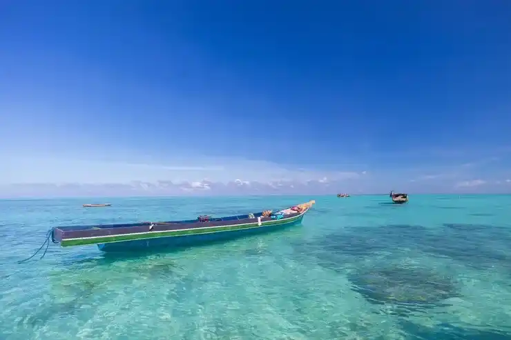 德国土耳其移民回流趋势明显，背后的社会经济原因剖析