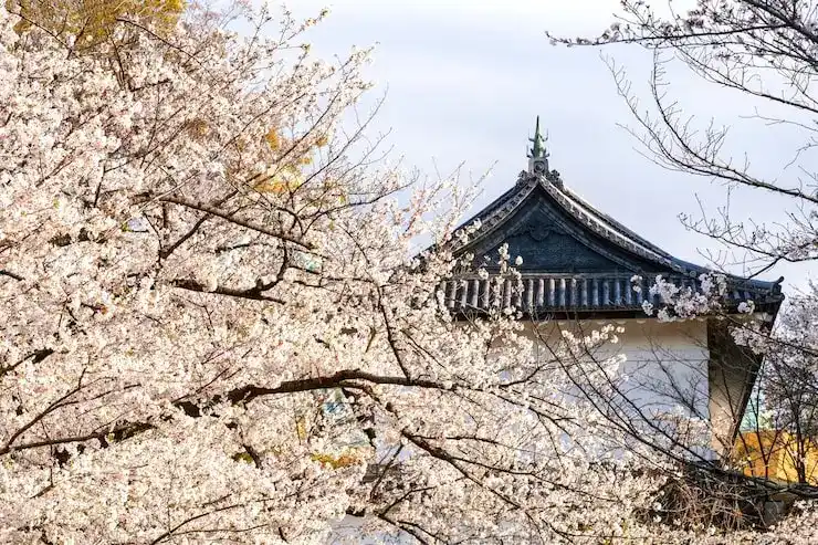 印尼语言，移民印尼时需要掌握的语言知识
