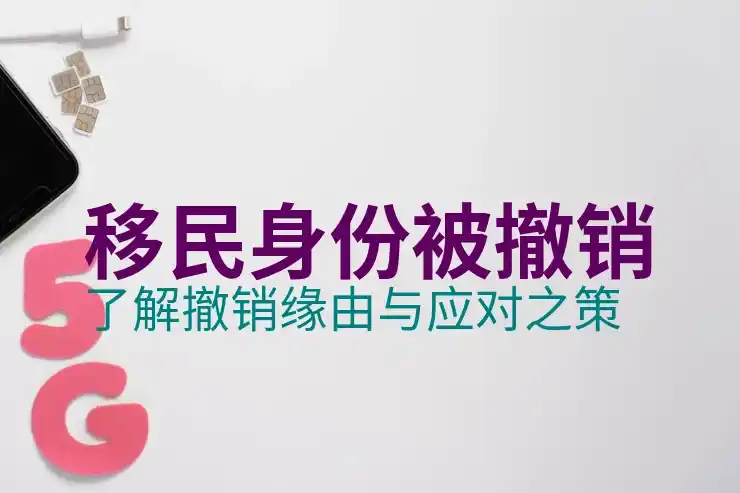移民新西兰需要什么条件？详细指南