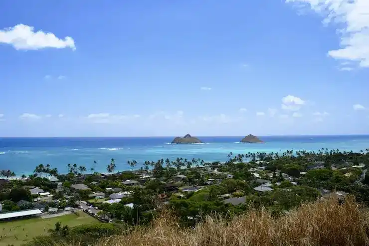 圣卢西亚入籍法案2026年更新，如何借助四种方式轻松获得国籍？