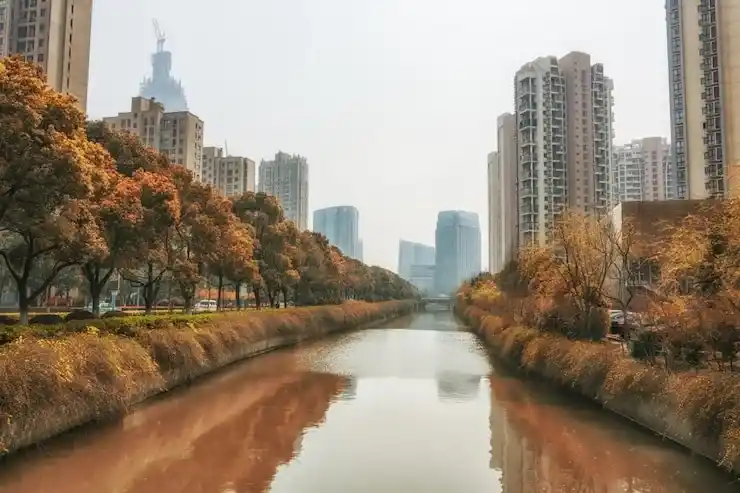 移民条件