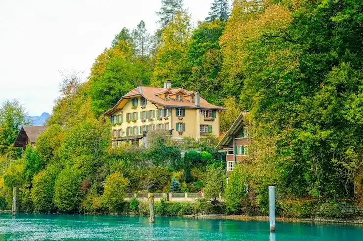 集体投资计划（CIS）能否作为新投资移民的投资标的？