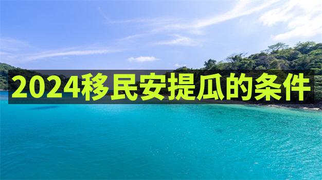 安提瓜移民要求中，对申请人的税务申报有何明确规定？