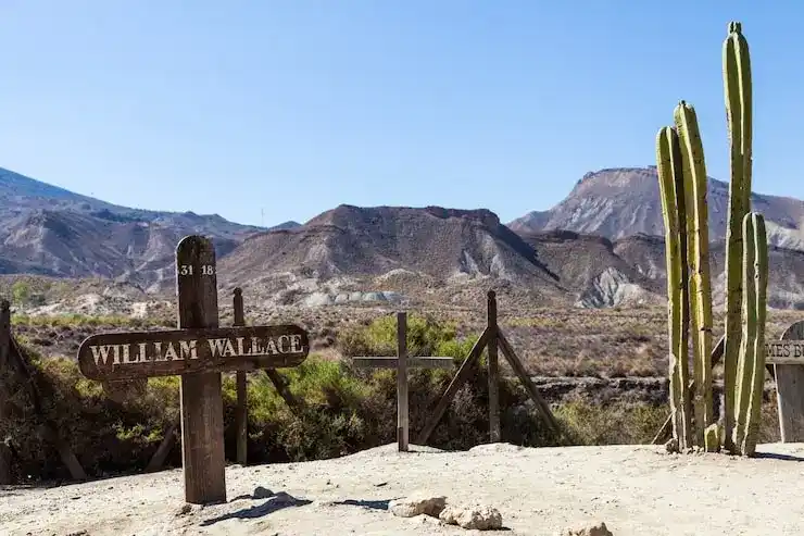 西班牙护照的申请条件与办理流程