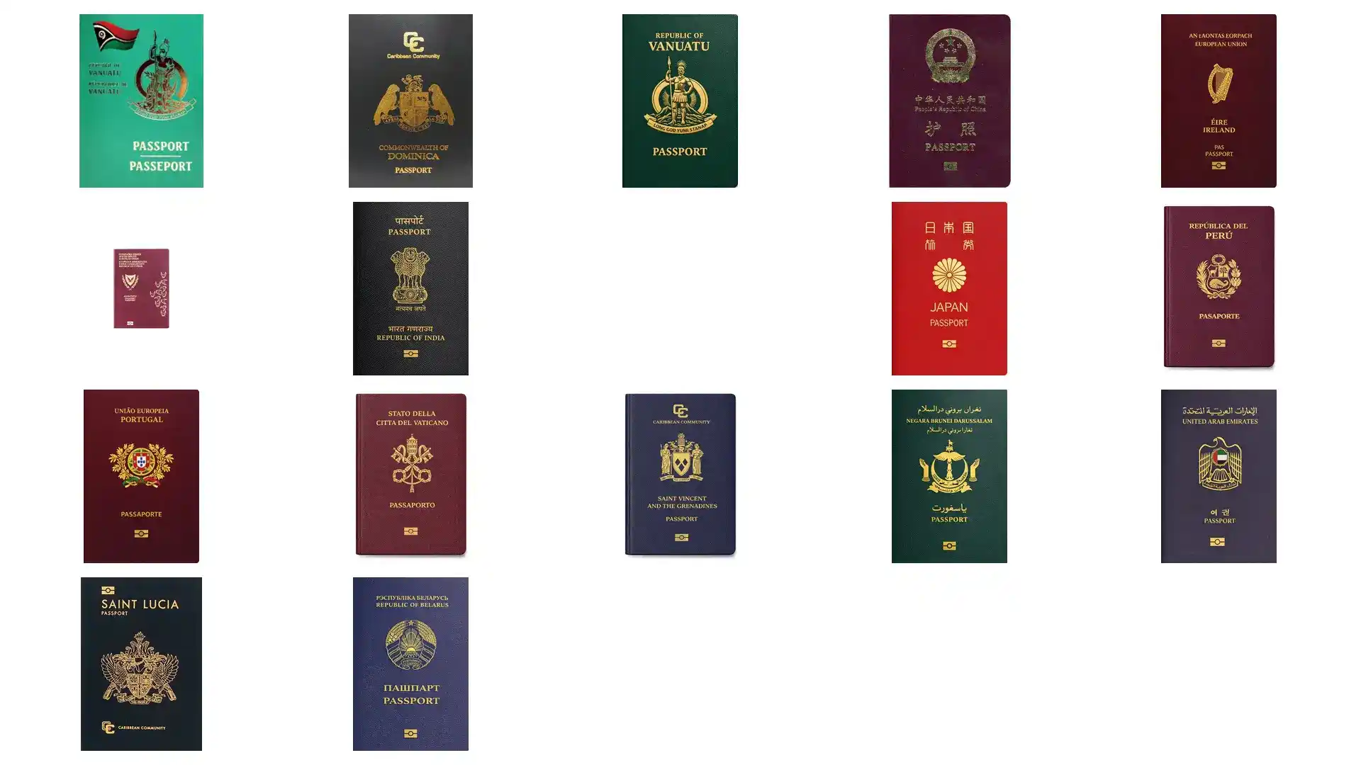 2026爱尔兰入籍申请费用涨了吗？最新申请流程与材料清单