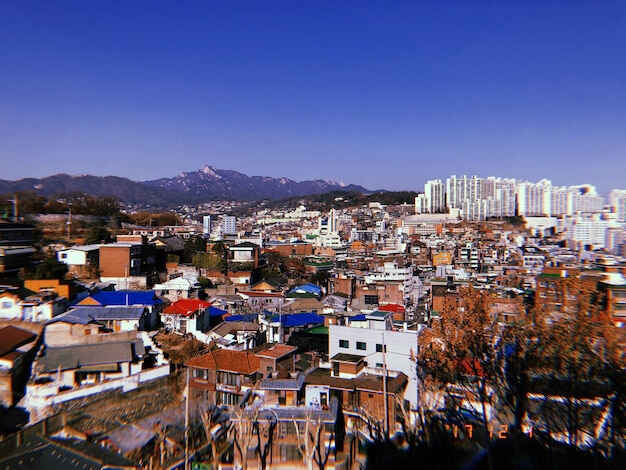 圣基茨当前时间查询（What time is it）与移民文件时效关联