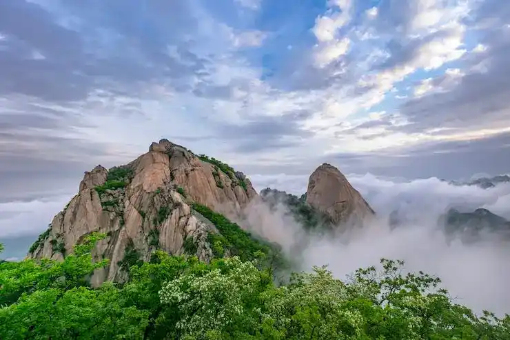 香港银行内地见证开户流程解析