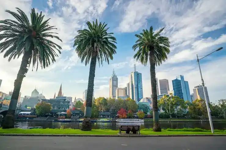 投资移民的资金要求与资金管理技巧