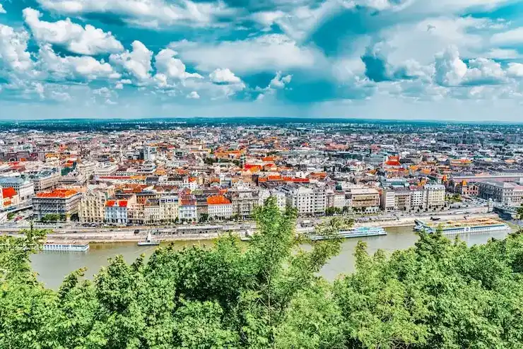 圣基茨与德国蓝卡移民对比技术与投资途径