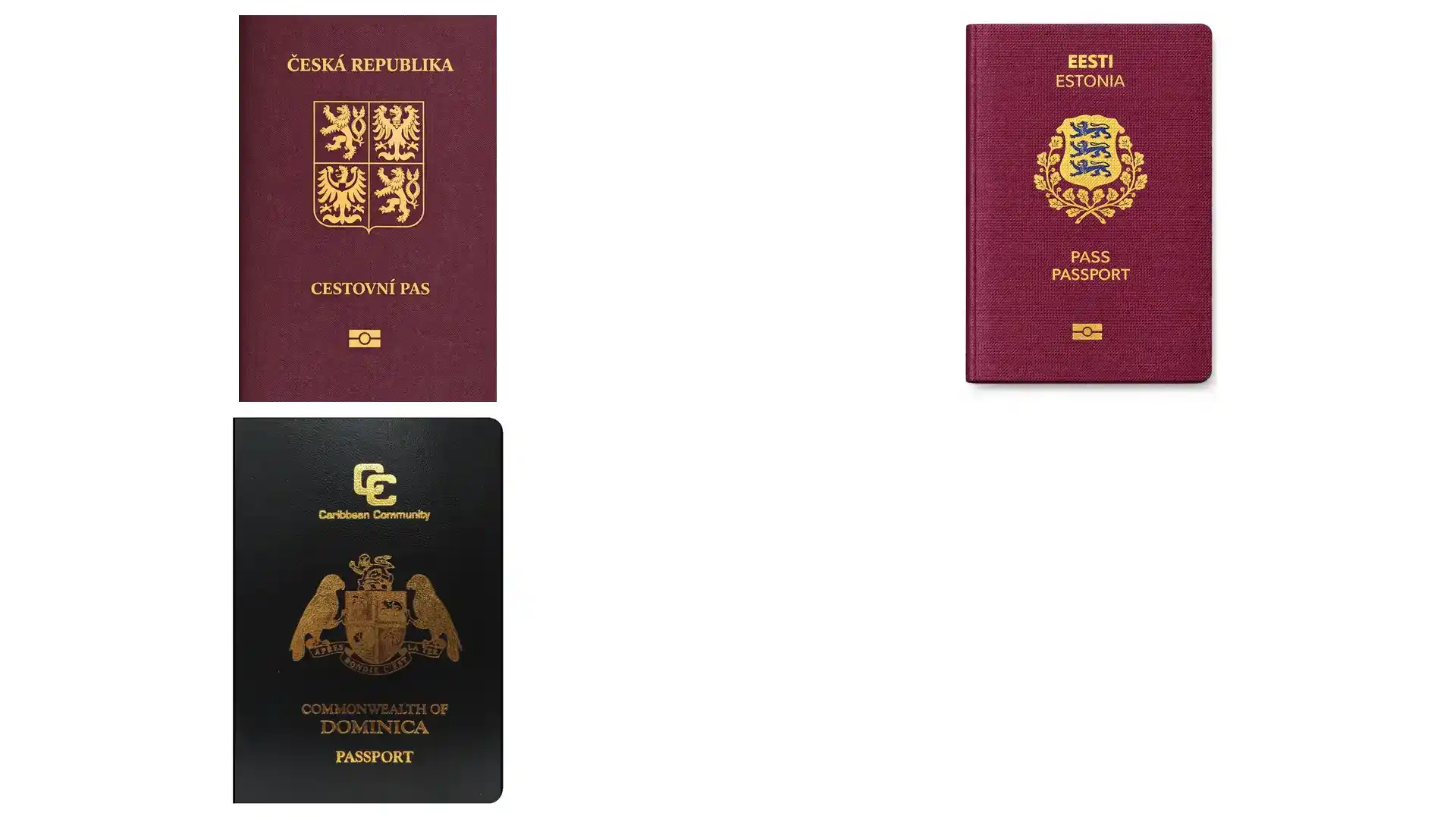 在波尔图，1000欧能租到什么样的房子？2026葡萄牙租房实拍