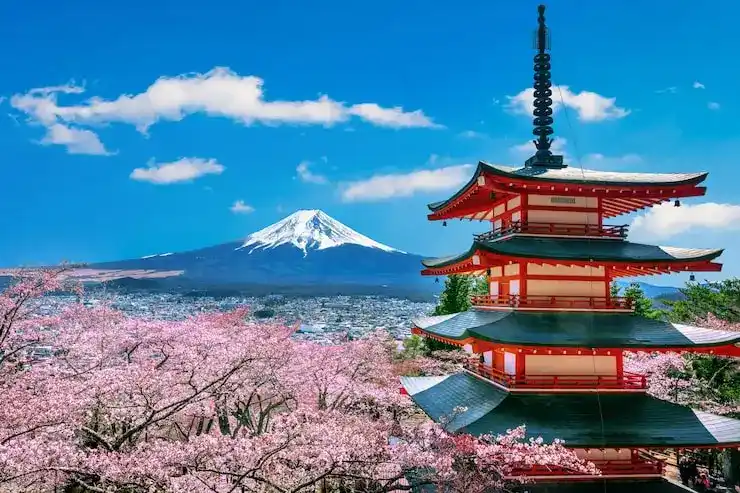法国签证申请，如何顺利申请法国签证？