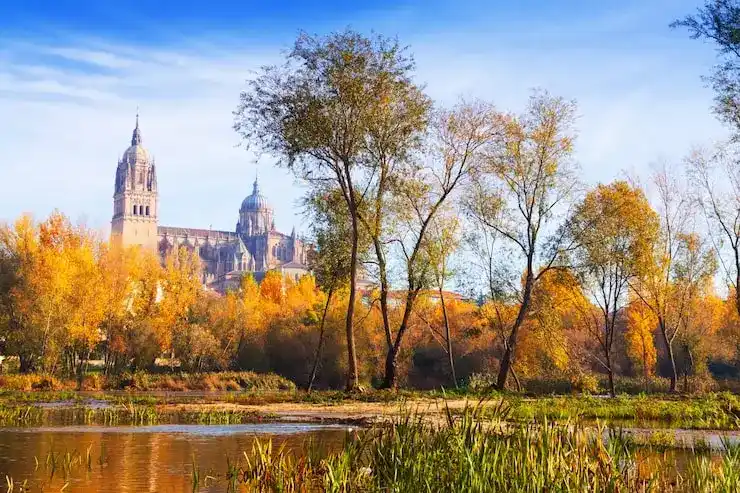 同性民事伴侣能否以受养人身份随高才通持有人来港？