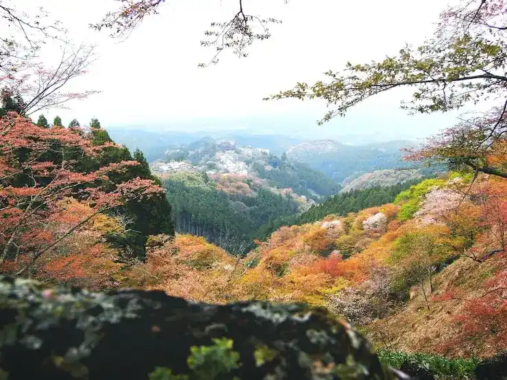 日本签证，如何申请日本签证并移民日本？