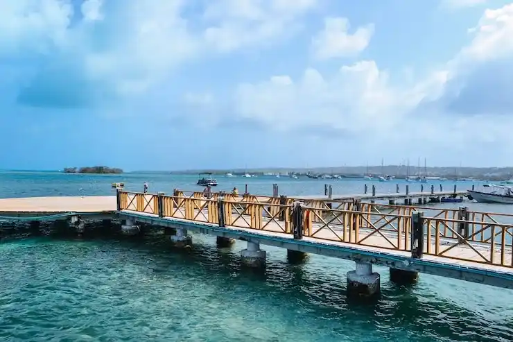 移民
