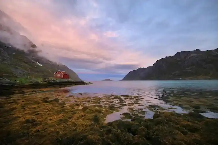 世界公民护照美国：申请条件与流程