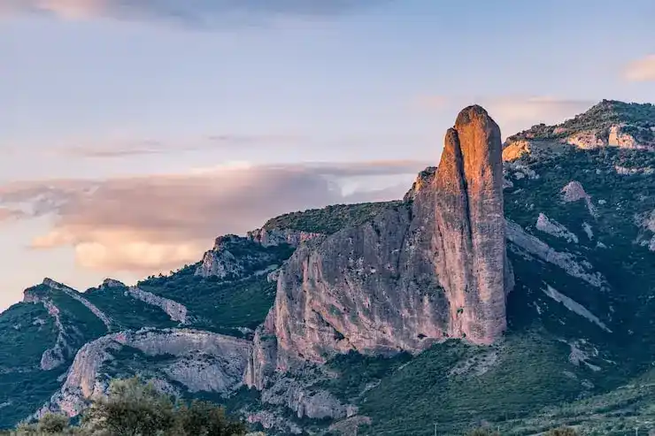 如何通过创业移民在葡萄牙开设跨国公司？