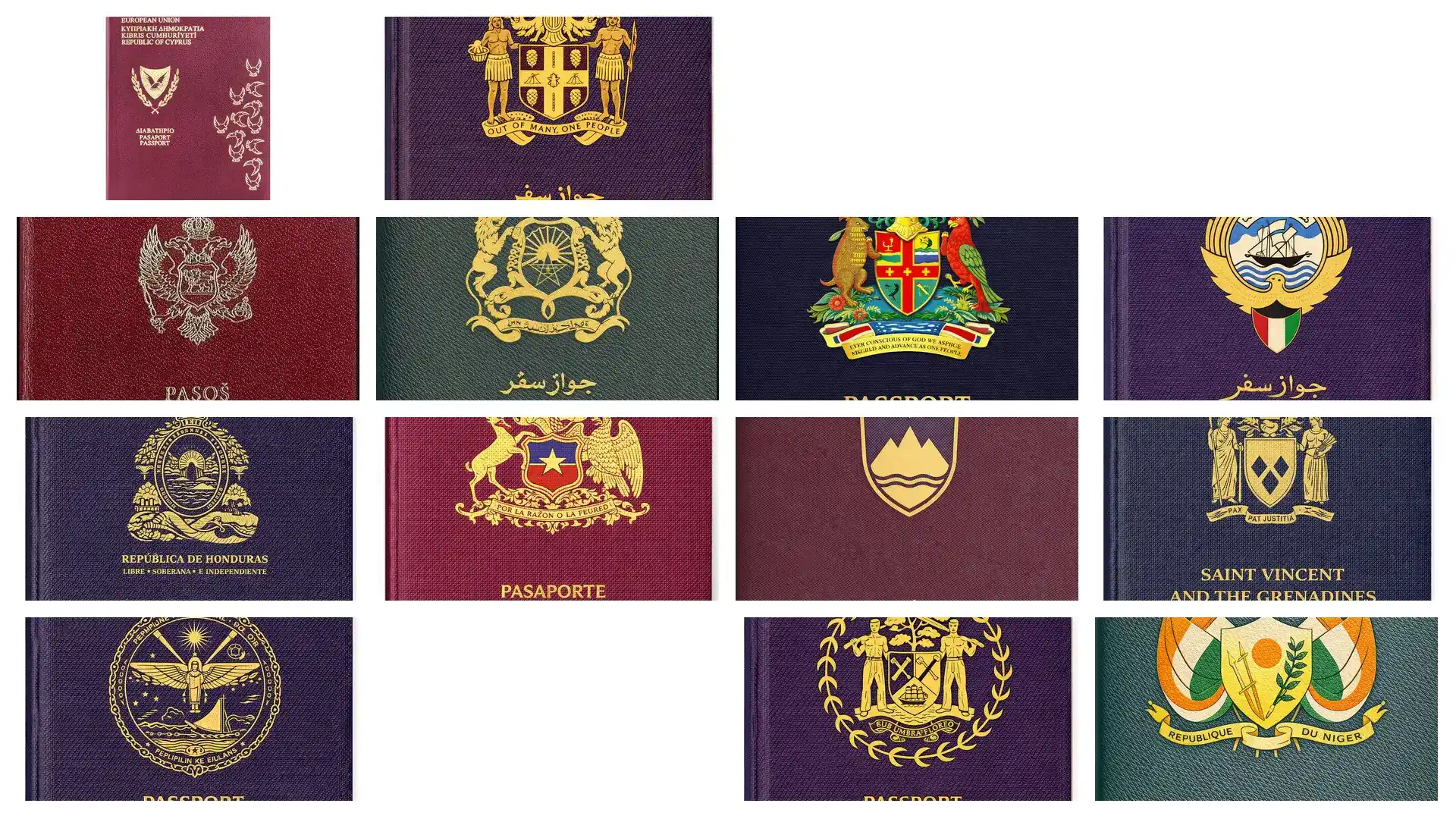 埃及护照移民费用：存款证明要求