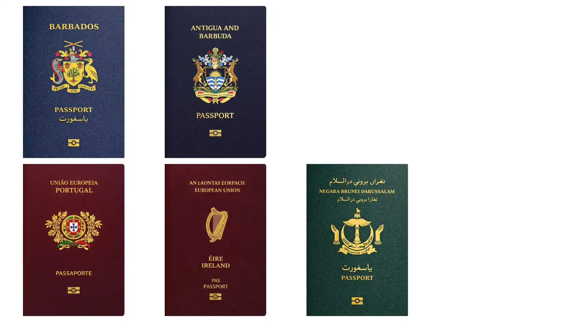 意大利税号申请：新移民落地后第一件事