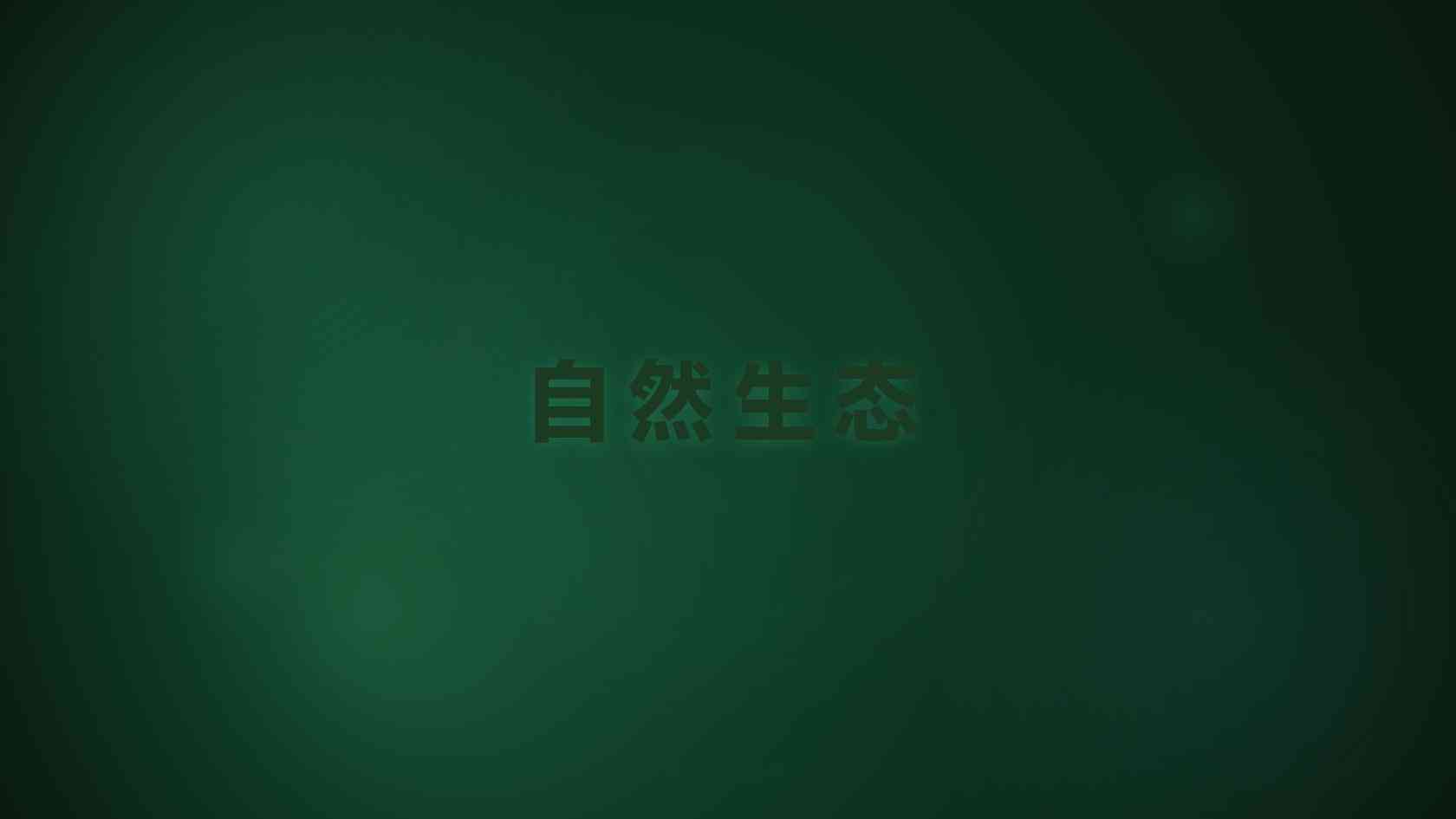 第二身份