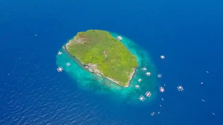 移民荷兰费用及申请流程及生活