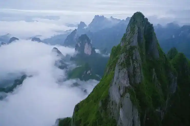 安提瓜移民，捐款未到账，身份激活失败坑