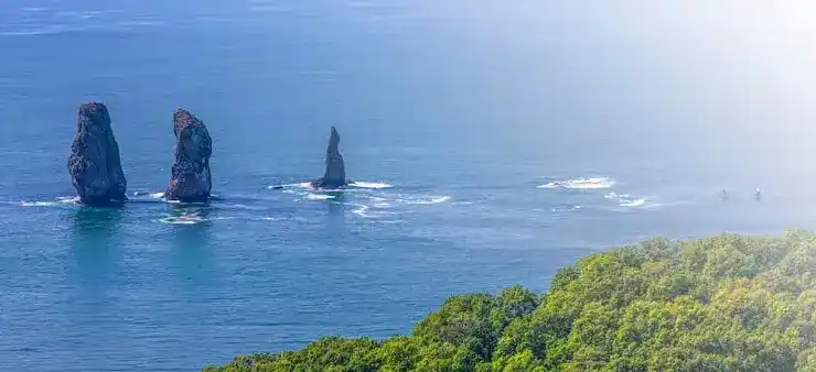 继子女随行申请新西兰移民需额外提供哪些亲属关系证明？