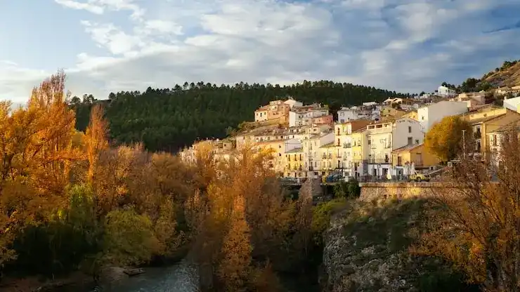 25岁以下的在读子女可以随行申请葡萄牙移民吗？需满足什么条件？